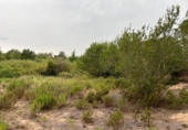 Terreny no urbanitzable en venda a la España, Maçanet de la Selva, ref.: TR123247 foto