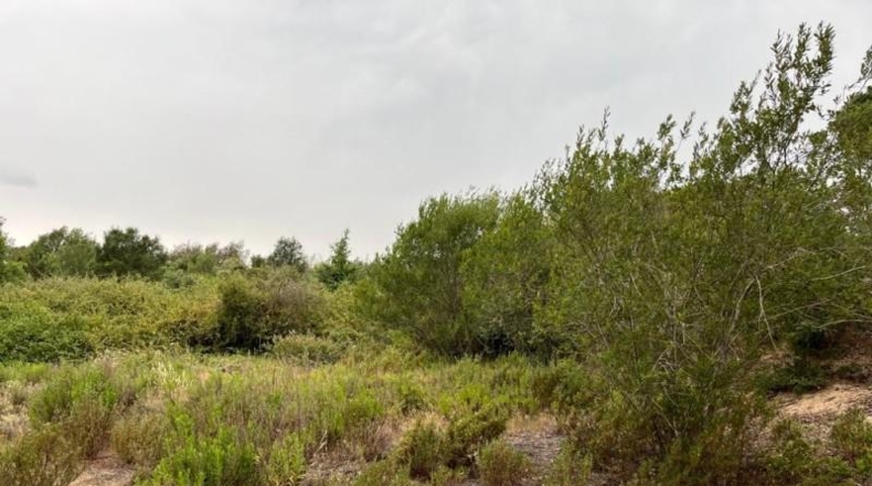 Gerona - Maçanet de la Selva - 10269m2