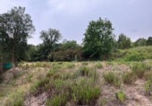 Terreny no urbanitzable en venda a la España, Maçanet de la Selva, ref.: TR123247 foto