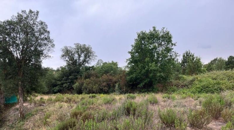 Gerona - Maçanet de la Selva - 10269m2
