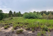 Terreny no urbanitzable en venda a la España, Maçanet de la Selva, ref.: TR123247 foto