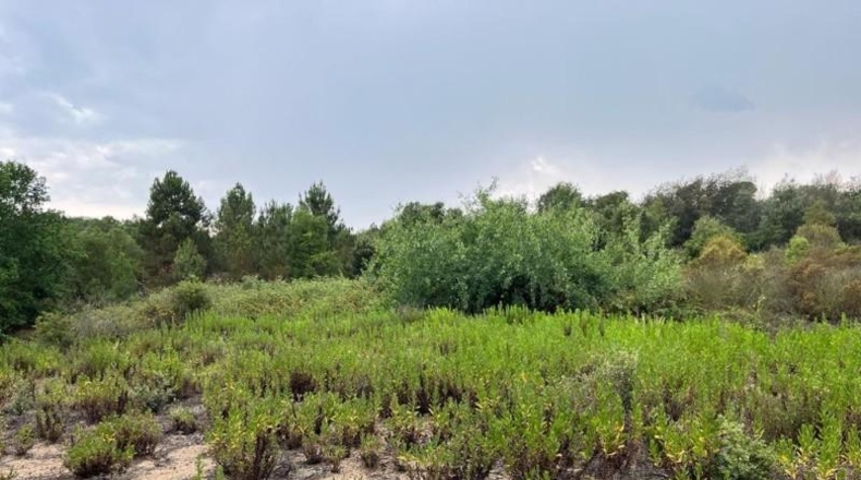 Gerona - Maçanet de la Selva - 10269m2