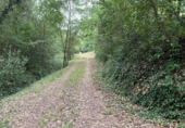 Terreny no urbanitzable en venda a la España, Maçanet de la Selva, ref.: TR123247 foto