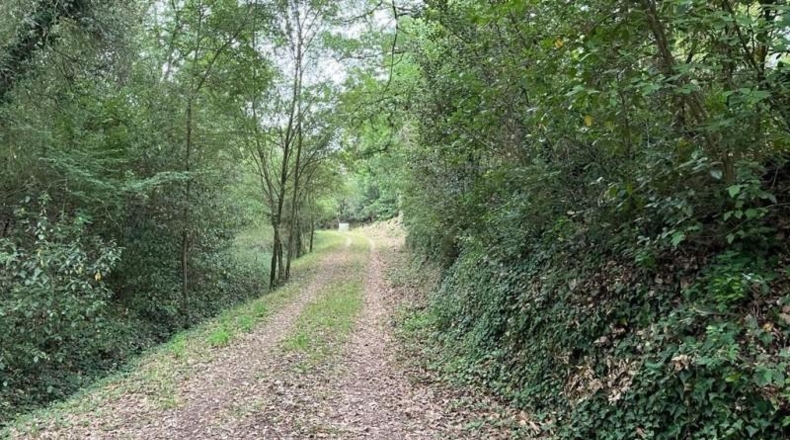 Gerona - Maçanet de la Selva - 10269m2