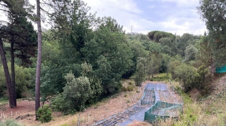 Gerona - Maçanet de la Selva - 10269m2