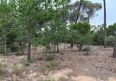 Terreny no urbanitzable en venda a la España, Maçanet de la Selva, ref.: TR123247 foto