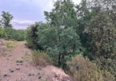 Terreny no urbanitzable en venda a la España, Maçanet de la Selva, ref.: TR123247 foto