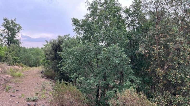 Gerona - Maçanet de la Selva - 10269m2