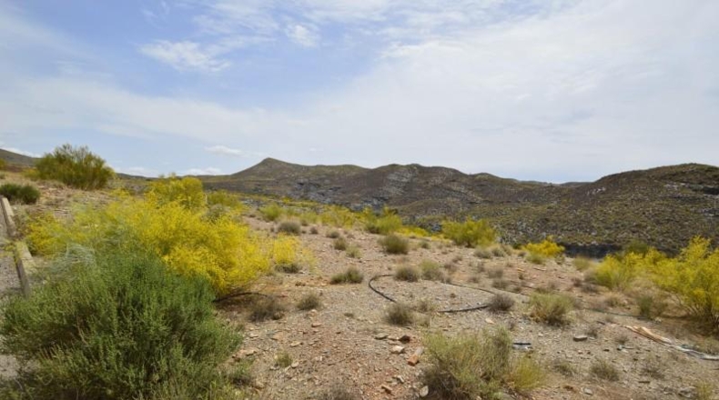 Almeria - Gérgal - 4567m2