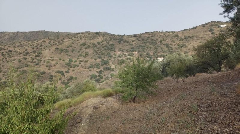 Málaga - Málaga - 20000m2