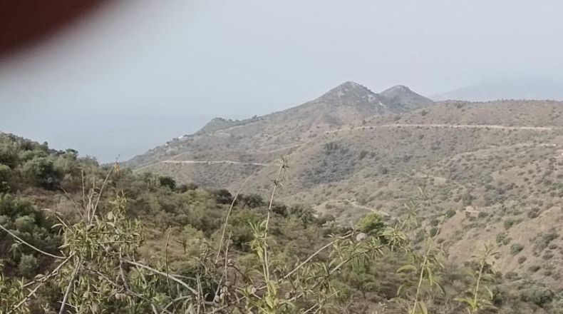 Málaga - Málaga - 20000m2