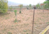 Sòl urbà en venda a la España, el Fondó de les Neus, ref.: TR306404 foto