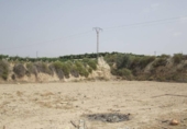 Rural estate for sale on España, Novelda, ref: TR296381 photo