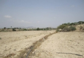 Rural estate for sale on España, Novelda, ref: TR296381 photo
