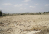 Rural estate for sale on España, Novelda, ref: TR296381 photo