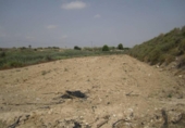 Rural estate for sale on España, Novelda, ref: TR296381 photo