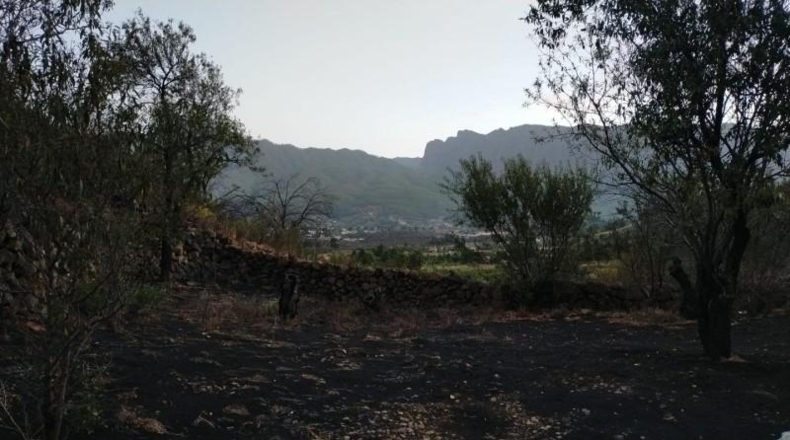 Santa Cruz de Tenerife - El Paso - 7924m2
