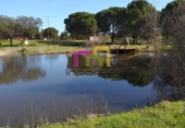 Terreny no urbanitzable en venda a la España, Badajoz, ref.: TR120726 foto