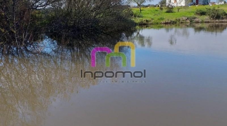 Badajoz - Badajoz - 5000m2