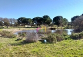 Terreny no urbanitzable en venda a la España, Badajoz, ref.: TR120726 foto