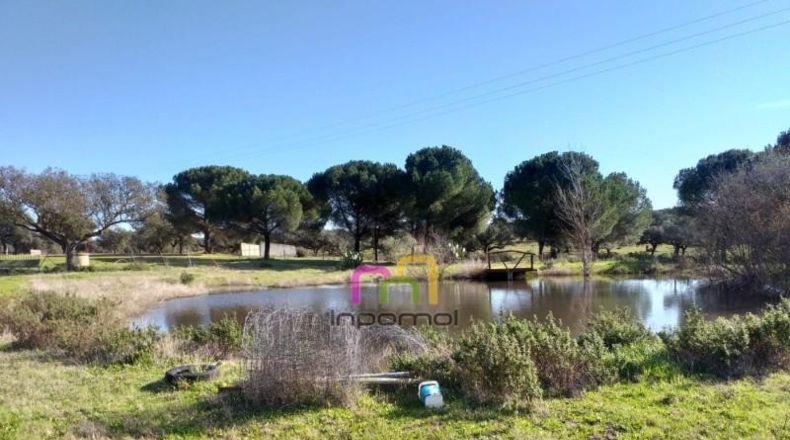 Badajoz - Badajoz - 5000m2