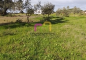 Terreny no urbanitzable en venda a la España, Badajoz, ref.: TR120726 foto