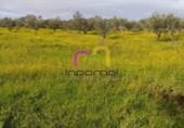 Terreny no urbanitzable en venda a la España, Badajoz, ref.: TR120726 foto