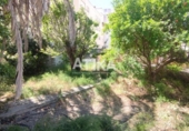 Detached villa with land for sale on España, Ontinyent, ref: TR296566 photo