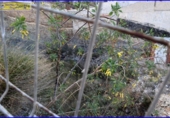 Sòl urbà en venda a la España, Múrcia, ref.: TR121856 foto