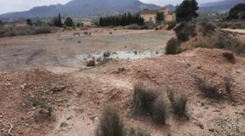 Alicante - Monóvar - 10000m2