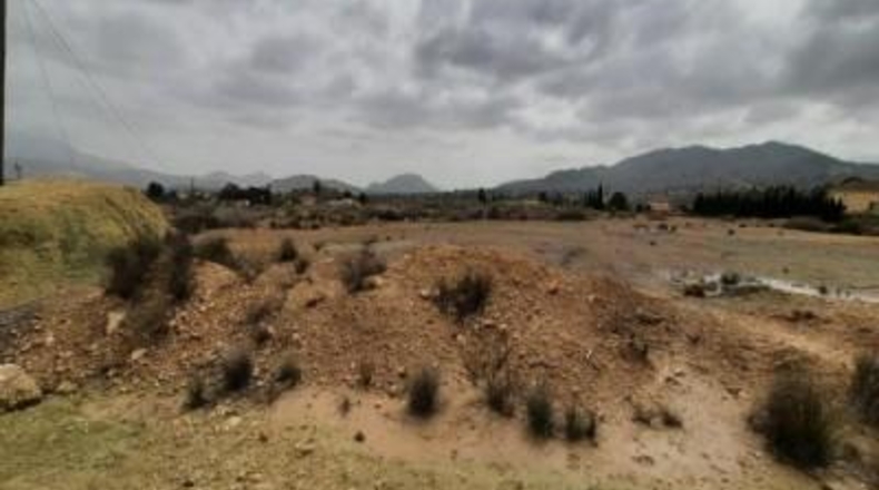 Alicante - Monóvar - 10000m2
