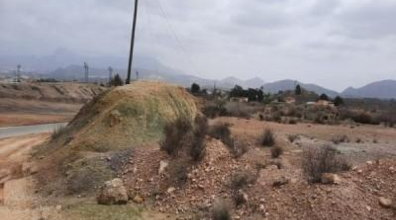 Alicante - Monóvar - 10000m2