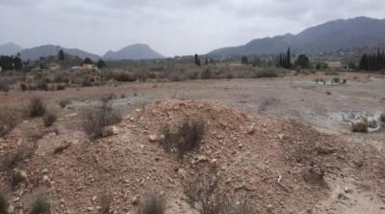 Alicante - Monóvar - 10000m2