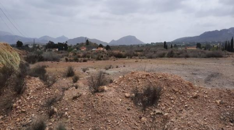 Alicante - Monóvar - 10000m2