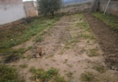 Casa de poble en venda a la España, el Pinós, ref.: TR303924 foto
