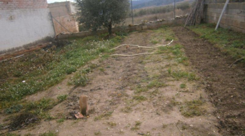 Alicante - Pinoso - 500m2