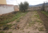 Casa de poble en venda a la España, el Pinós, ref.: TR303924 foto