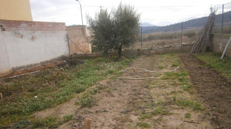 Alicante - Pinoso - 500m2