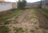 Casa de poble en venda a la España, el Pinós, ref.: TR303924 foto