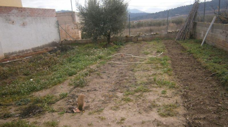 Alicante - Pinoso - 500m2
