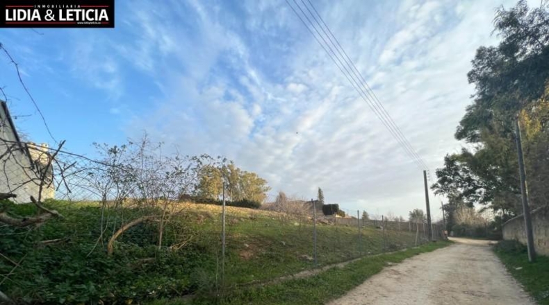 Seville - Alcalá de Guadaíra - 2870m2