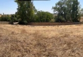 Parcel·la urbanitzable en venda a la España, Alcalá de Guadaíra, ref.: TR122221 foto