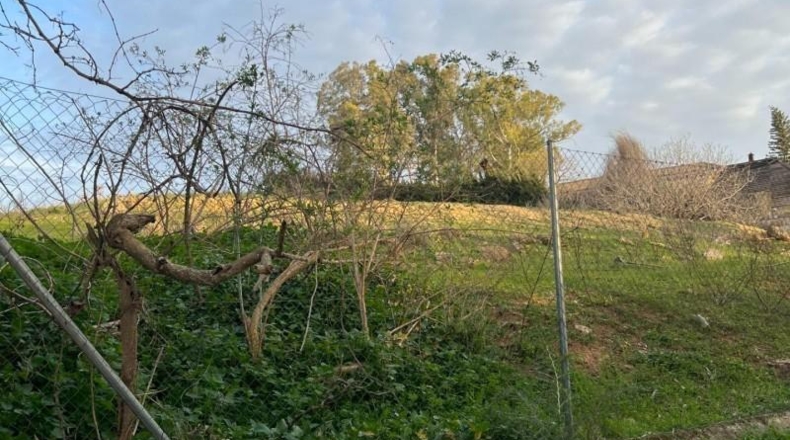 Seville - Alcalá de Guadaíra - 2870m2