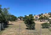 Участок с постройкой на продажу в городе Alcolea Фото