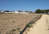 Terreny no urbanitzable en venda a la España, Chiclana de la Frontera, ref.: TR122938 foto