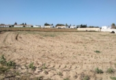 Terreny no urbanitzable en venda a la España, Chiclana de la Frontera, ref.: TR122938 foto