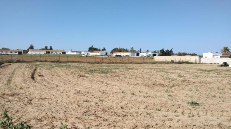Cádiz - Chiclana de la Frontera - 3000m2