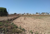 Terreny no urbanitzable en venda a la España, Chiclana de la Frontera, ref.: TR122938 foto