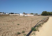 Terreny no urbanitzable en venda a la España, Chiclana de la Frontera, ref.: TR122938 foto