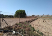 Terreny no urbanitzable en venda a la España, Chiclana de la Frontera, ref.: TR122938 foto
